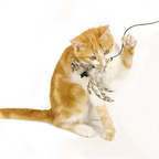 Feather Wand Cat Toy – Elastic String Kitten Fishing Toy