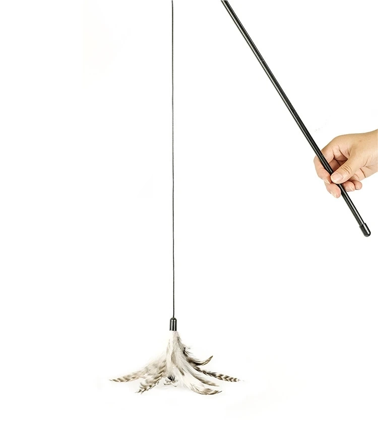 Feather Wand Cat Toy – Elastic String Kitten Fishing Toy