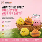 Squeaky Spiky Dog Chew Ball – Interactive Teeth Cleaning Toy for Boredom Relief