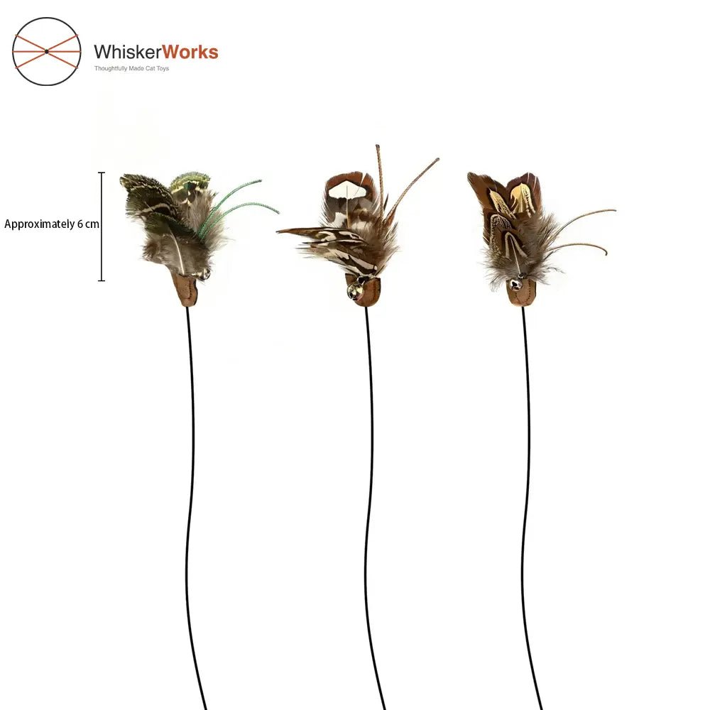 WhiskerWorks FlutterWing – Retractable Feather Cat Teaser - NamedBy