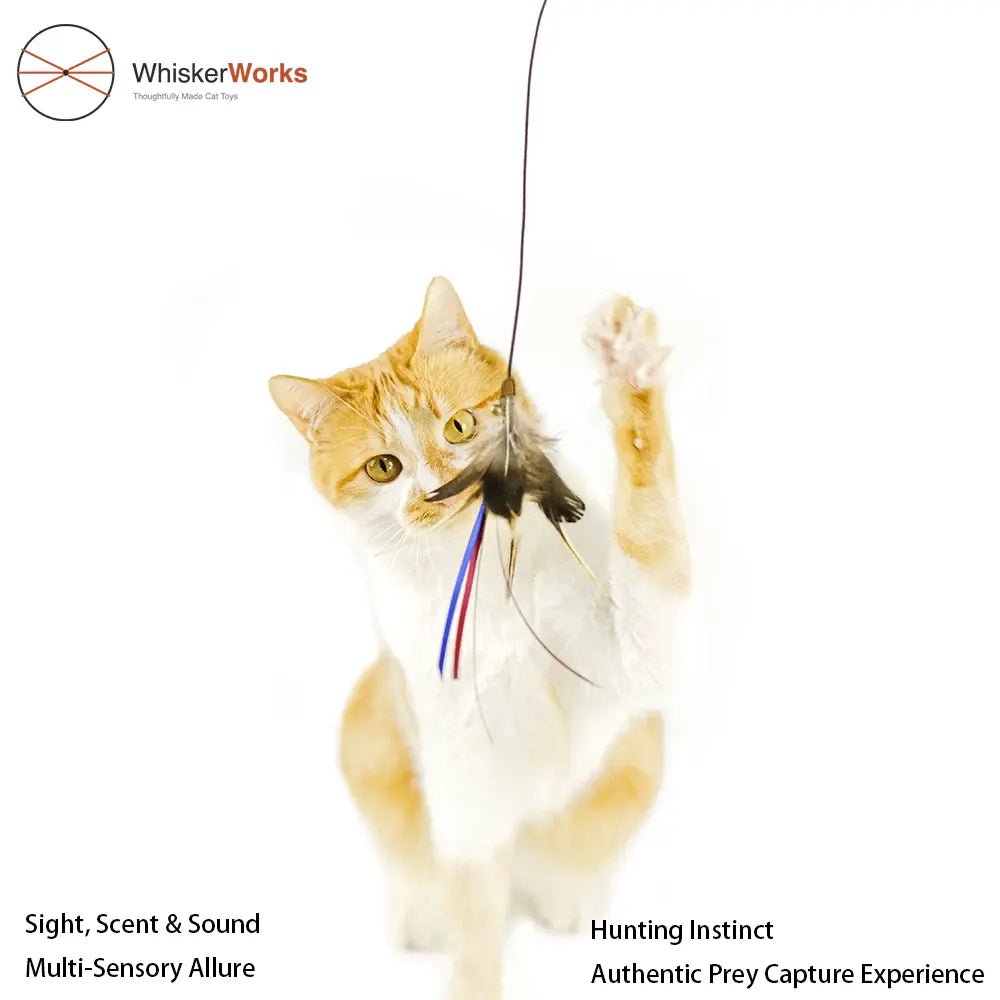 WhiskerWorks FlutterWing – Retractable Feather Cat Teaser - NamedBy