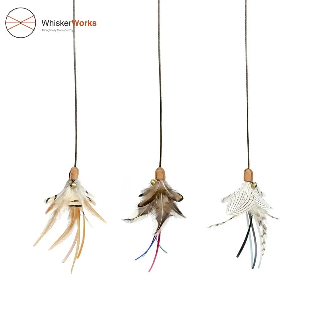 WhiskerWorks FlutterWing – Retractable Feather Cat Teaser - NamedBy