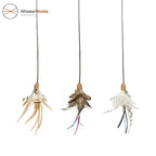 WhiskerWorks FlutterWing – Retractable Feather Cat Teaser - NamedBy